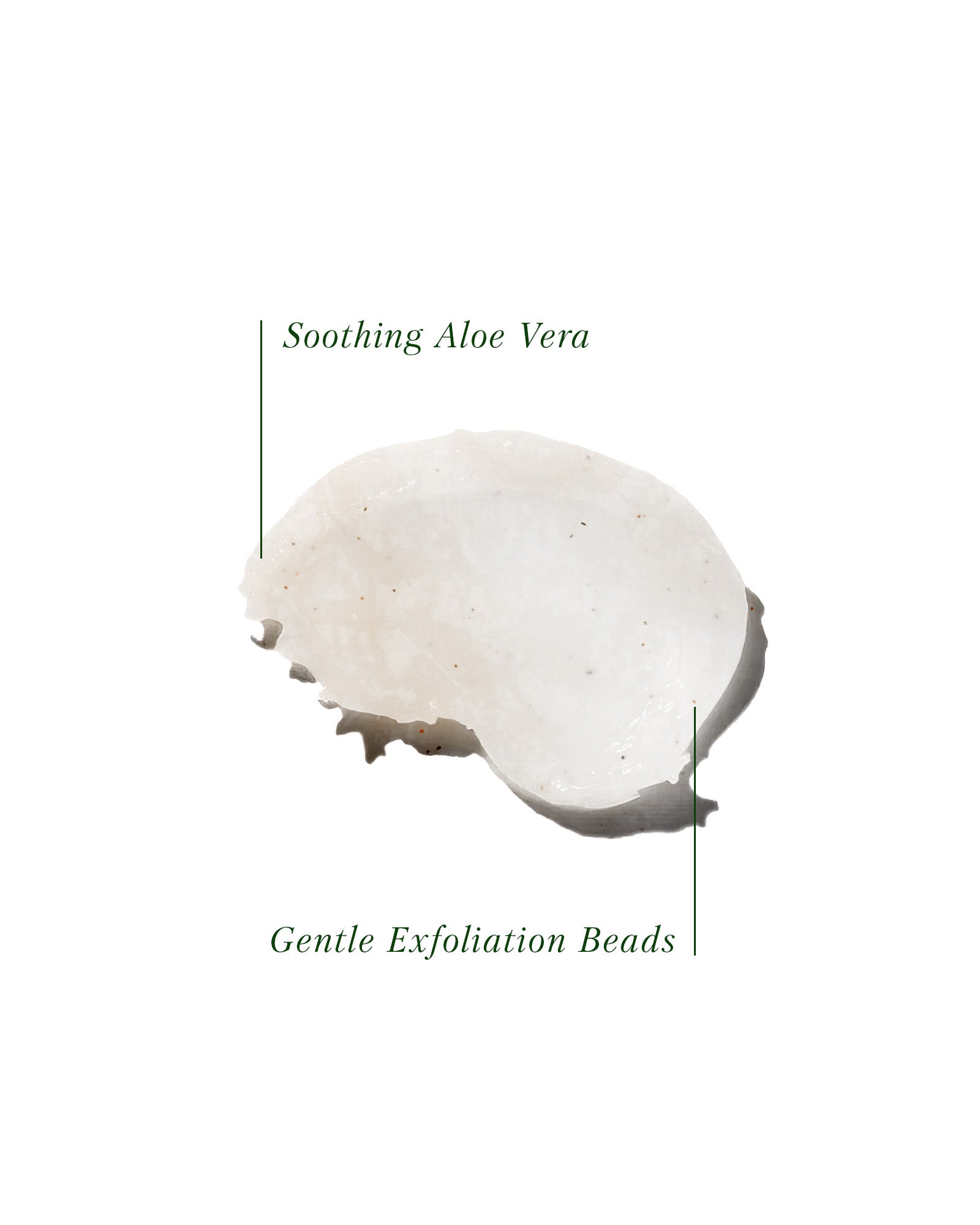 Green & White Tea Antioxidant Exfoliating Scrub